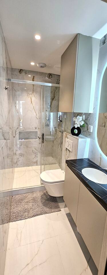 Walk-in shower and toilet in the marble shower room
